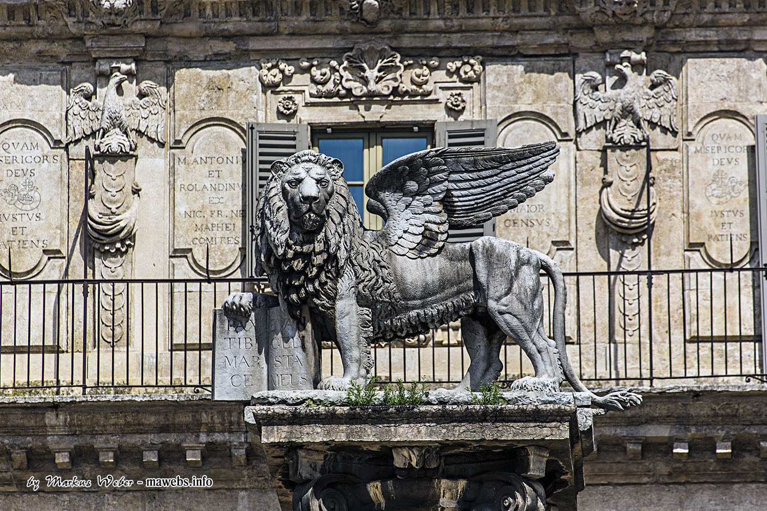 Auf der Piazza delle Erbe - der Löwe Venedigs (Verona)